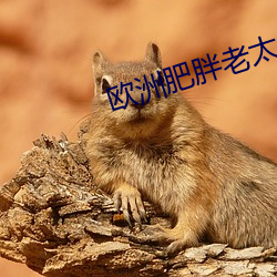 欧洲肥胖老太太