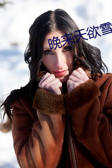 晚来(來)天欲雪