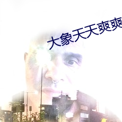 大象(象)天天(天)爽爽