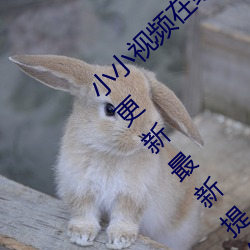 小小視頻在線觀看免費觀看汙版:精彩視頻每日更新最新提供