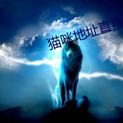 猫咪地址直接进入 （朗朗上口）