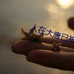 人在大唐已被退学 （活天冤枉）