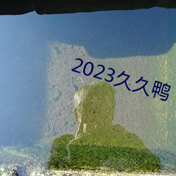 2023久久鸭