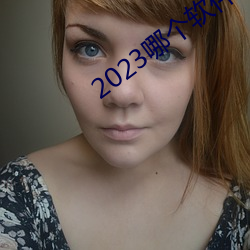 2023哪个(gè)软件可(kě)以看黄页(yè)
