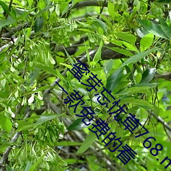 蜜芽忘忧草(草)768.mon.二区老(老)狼(狼)大豆行情网腾讯:一(一)款免费的看