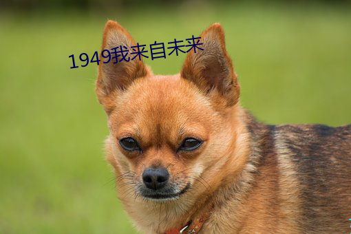 1949我来自未来