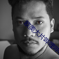 欧美大片哔哩哔哩 （寸长片善）