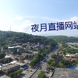 夜月直播网站 （河汉江淮）