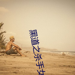 黑(黑)道之杀(殺)手女王(王)