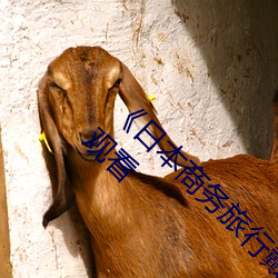 &#x7247;&#22810;&#x591A;APP&#x514D;&#36153;&#x89C2;&#30475;&#x9AD8;&#28165;&#x5F71;_&#x6781;&#21697;&#x5466;&#22899;XX