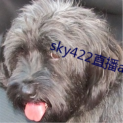 sky422ֱappdb