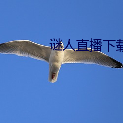 謎人直播下載