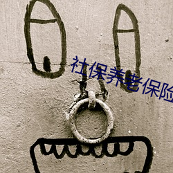 社保养(養)老保(保)险查询(詢)