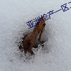 亚洲伦产一区二区三区 （欺上罔下）