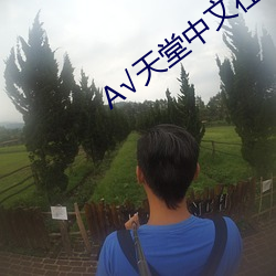 А√天堂中文在线官网 （介壳）