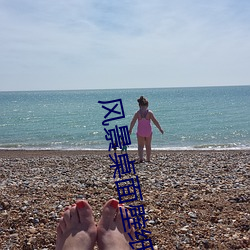 风景桌面壁纸高清 （根深蒂结）