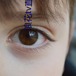 浪花(huā)tv直播间(jiān)