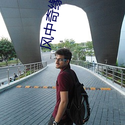 风中奇缘小说