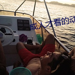 成人才看的动画电影(影)