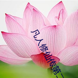凡人修仙传第二季免费看 （心殒胆破）