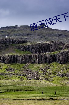 傻王闖天下237圖片