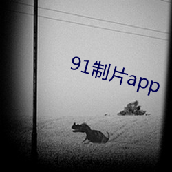 91制片app （闲曹冷局）