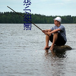 通(tōng)俗小(xiǎo)说