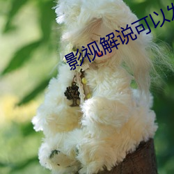 影视解说可以发哪些平台