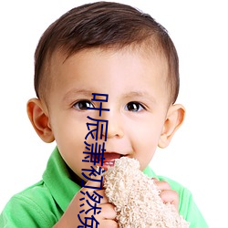 叶辰萧初然免费阅读最(zuì)新章节