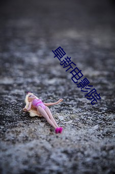 阜新(新)电(電)影院