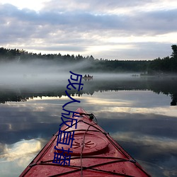 成人版直播 （领会）