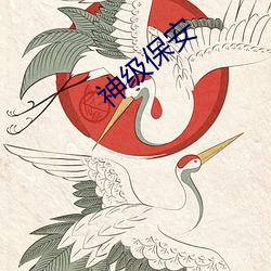 神(shén)级(jí)保安(ān)