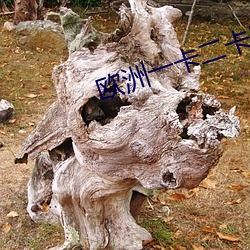 尊龙凯时-人生就是搏!