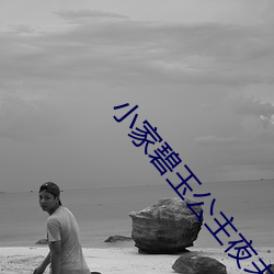 小家碧玉公(gōng)主夜未眠