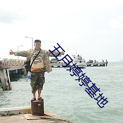 五(wǔ)月婷(tíng)婷基地