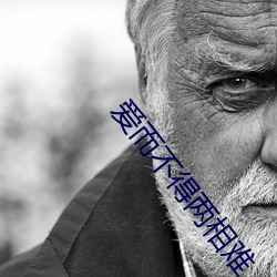 爱(愛)而不(不)得两相难