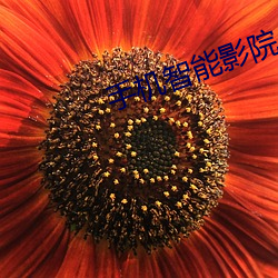 手機智能影院