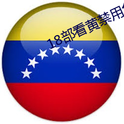 18部看黄禁用免费a入口