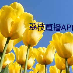 荔枝直播APP