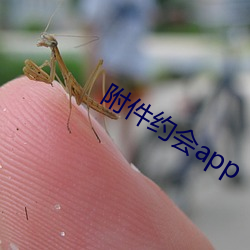 附(fù)件约(yuē)会app