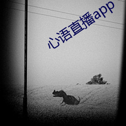 心语直播app （通忧共患）