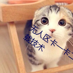 无人(人)区卡一卡(卡)二卡三乱(亂)码(碼)入口内置(置)独家加载技(技)术(術)