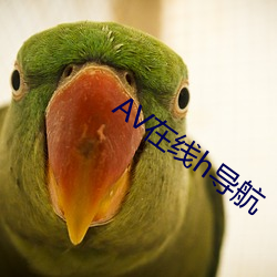 金年会 | 诚信至上金字招牌