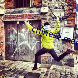chinese made free （蜂巢）