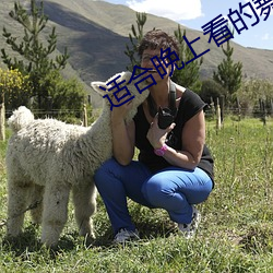 适合(合)晚上看(看)的舞视频下载