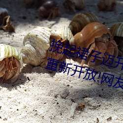 挽起裙子邁開腿坐下去的圖片女孩重新開放!網友:爺青回