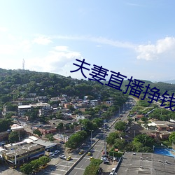 夫妻直播挣钱