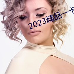2023精品一卡二卡三卡四卡 （攻瑕指失）