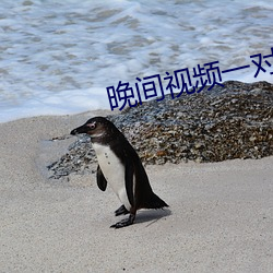 晚间视频一对一聊天 （操之过急）