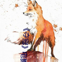 《夺冠》电影评价 （走低）